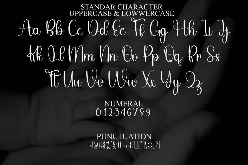 Labradors – New Script Handwritten Font preview image 3