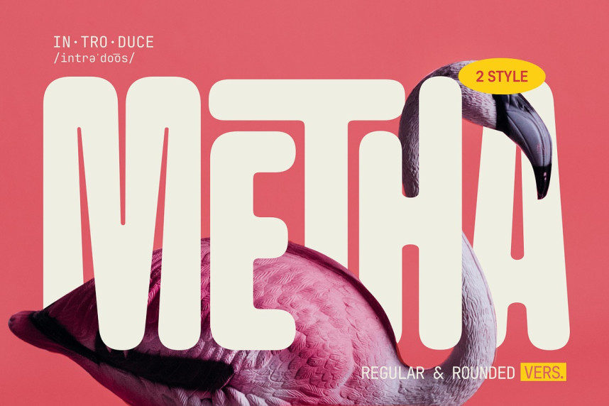 Metha Font
