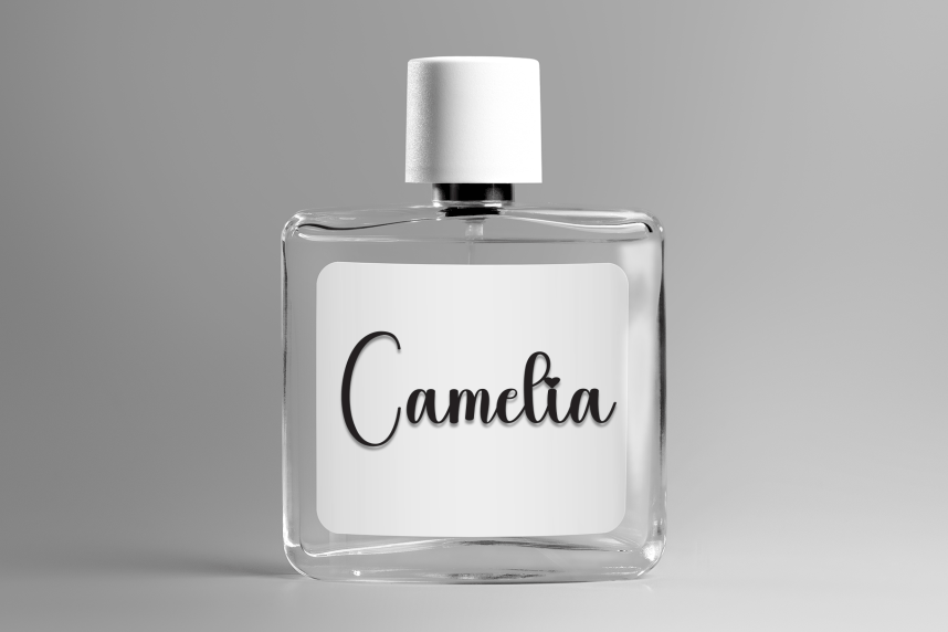 Beside Style Script Font preview image 2