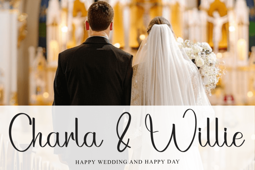 Brother Signature Simple Script Font preview image 2
