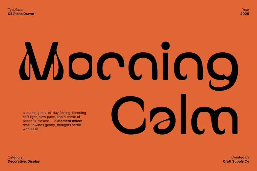 CS Riona Drawn Font preview image 2