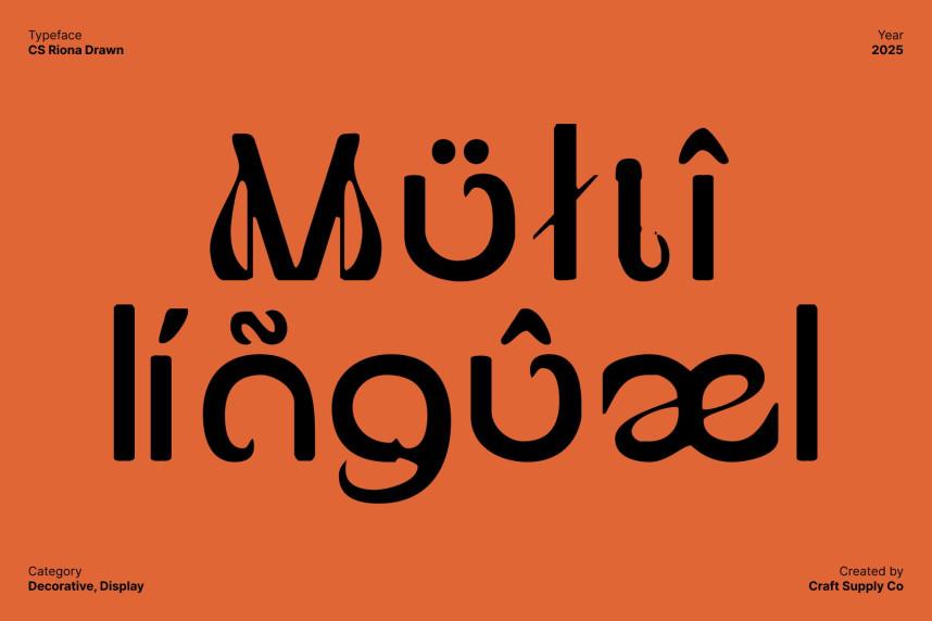 CS Riona Drawn Font preview image 4