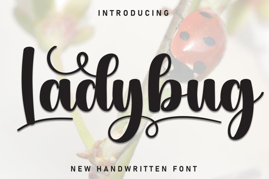 Ladybug Style Script Font