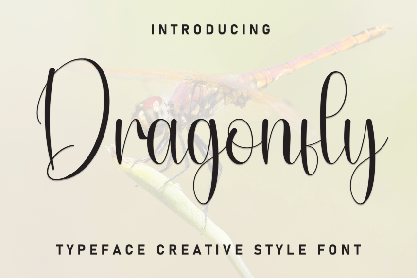 Dragonfly - Modern Script Handwritten Font