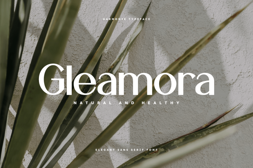 Harmonie Sans Serif Font preview image 3