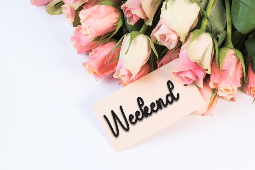 Hello Booklove Style Script Font preview image 5