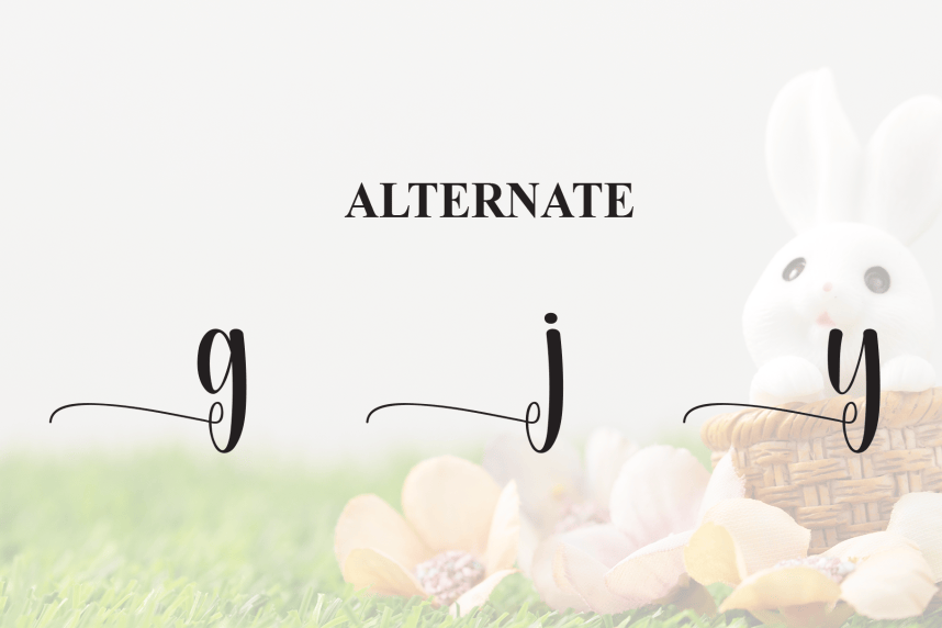 Hey Bunny Style Script Font preview image 5