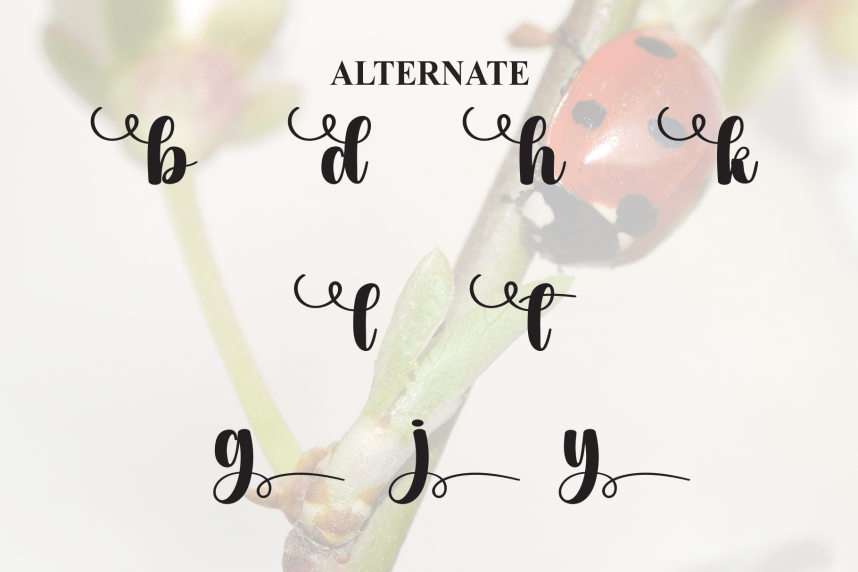 Ladybug Style Script Font preview image 5