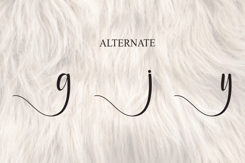 Bulky – Modern Handmade Font preview image 5