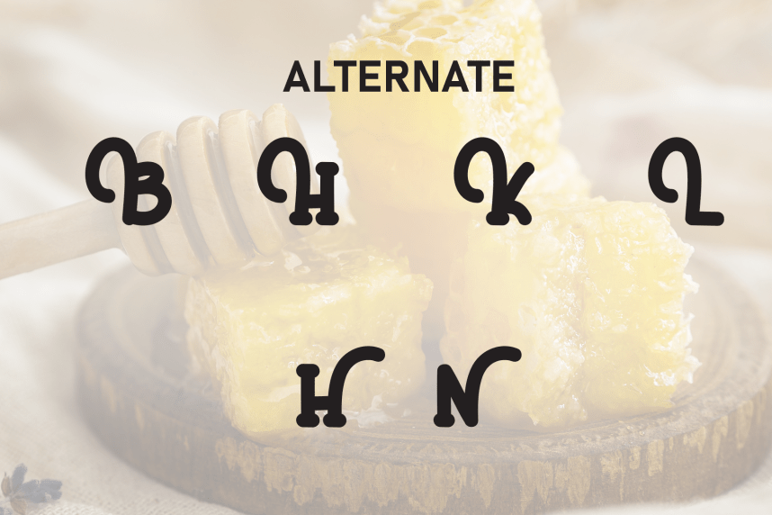 Honey – Creative And Unique Font preview image 5