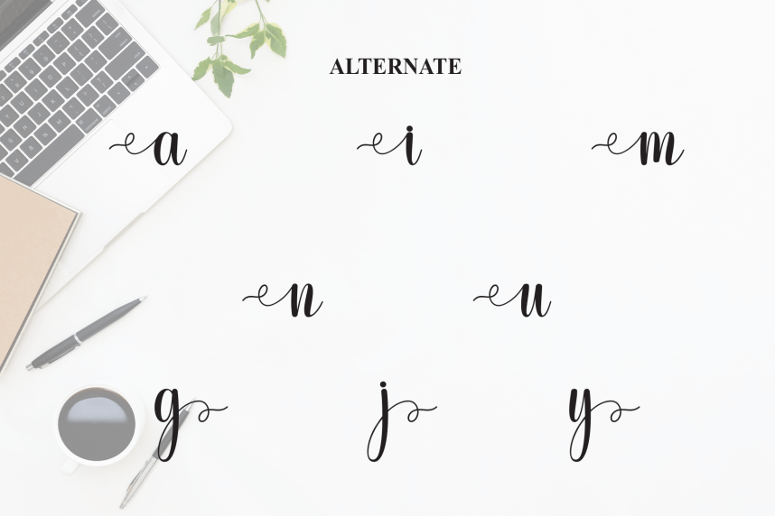 Monday – Luxury Handwritten Script Font preview image 5