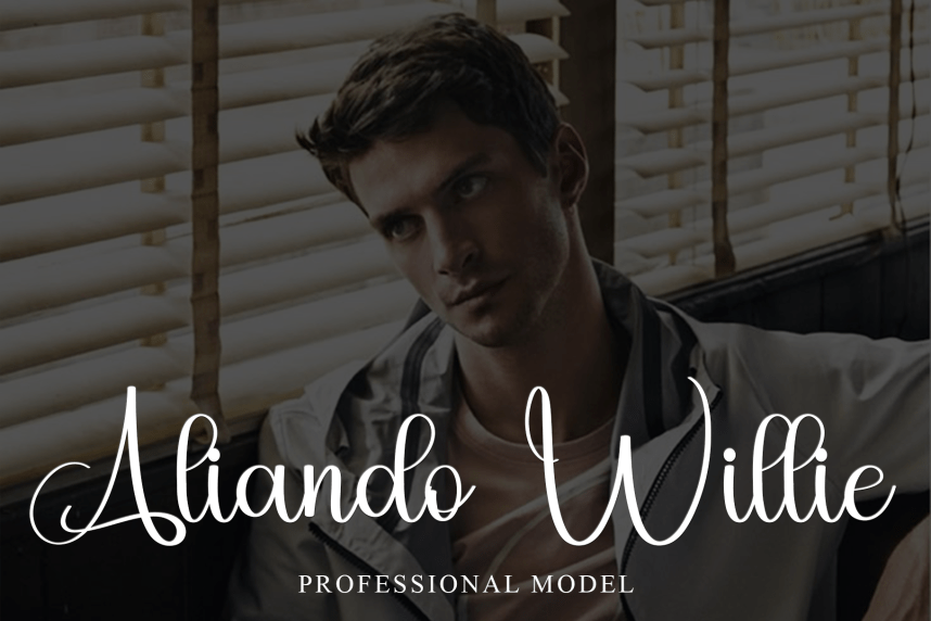 Launching – Modern Script Handwritten Font preview image 2
