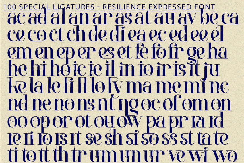 Resilience Expressed Font preview image 5
