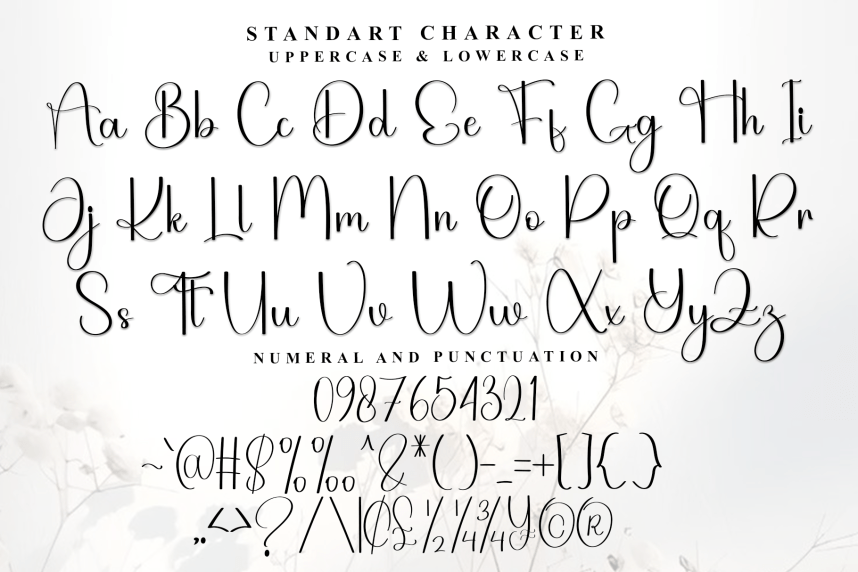 Spring Highland Simple Handwritten Font preview image 5
