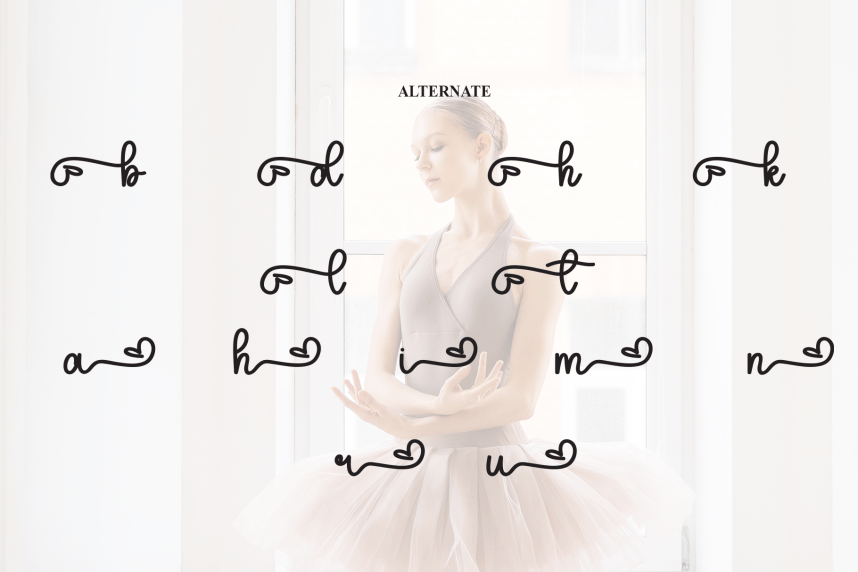 Ballerina Script Font preview image 5