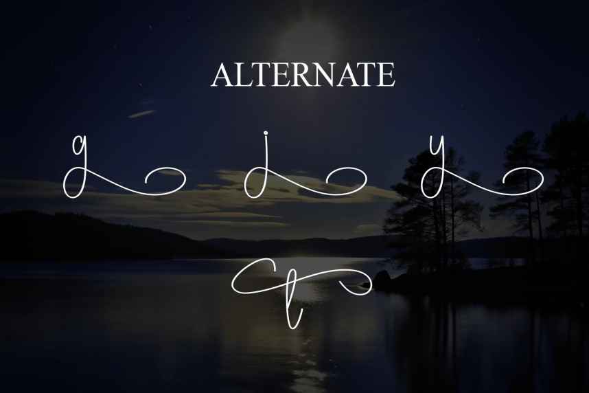 Nightday – Handwritten Script Font preview image 5