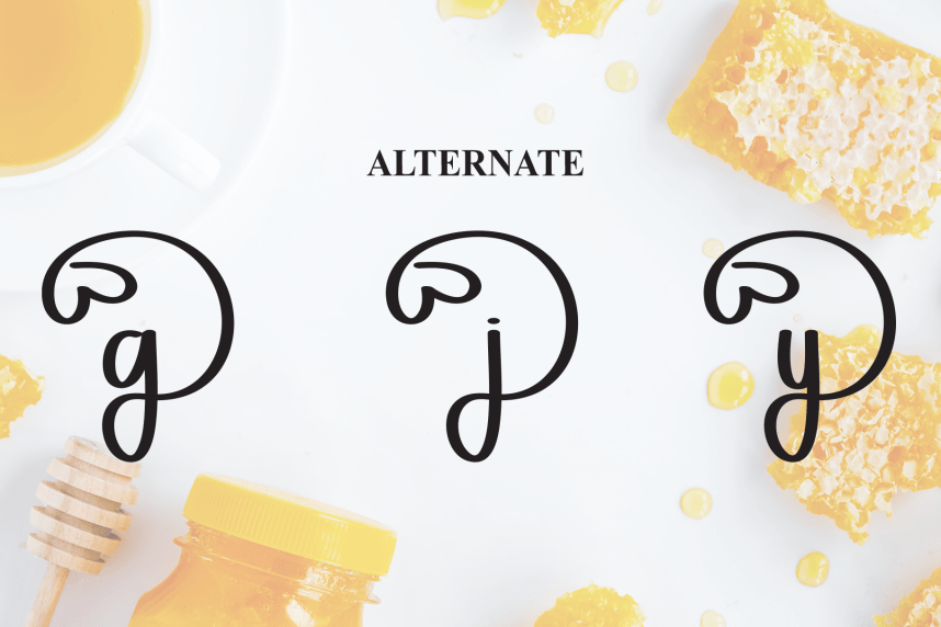 Honney – Handwritten Script Font preview image 5