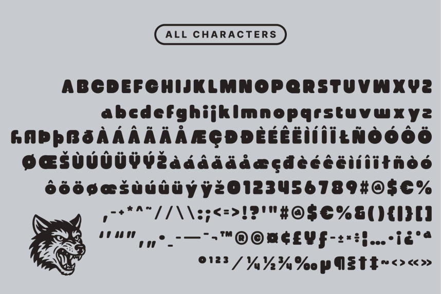 CS Glastic Rounded Font preview image 5