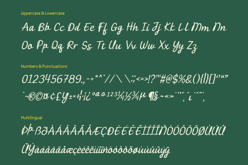 CS Ricotta Pixel Font preview image 5