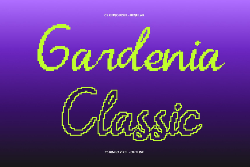 CS Ringo Pixel Font preview image 3