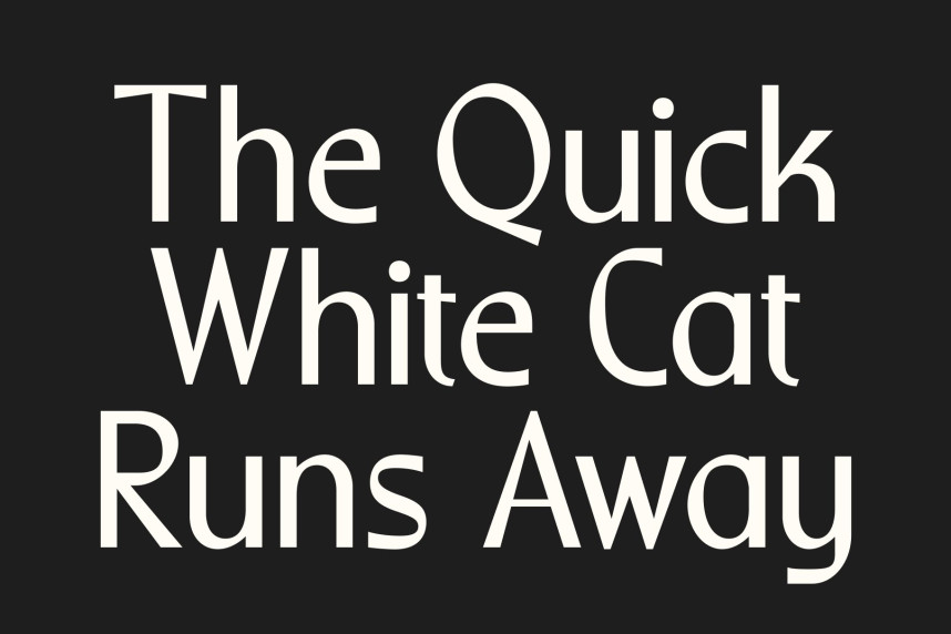 CS Riposte Typeface preview image 2