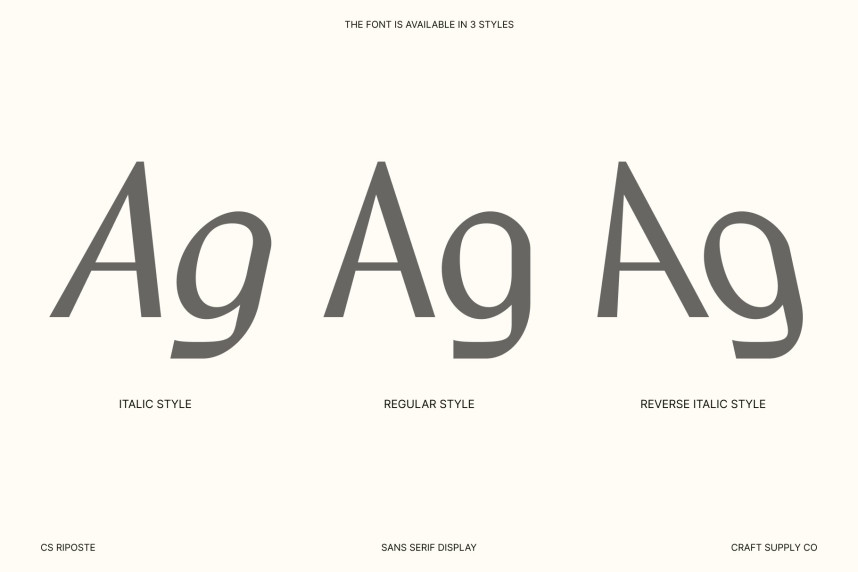 CS Riposte Typeface preview image 3