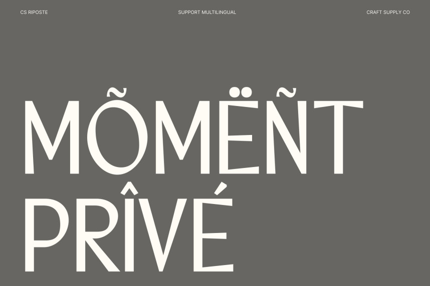 CS Riposte Typeface preview image 4