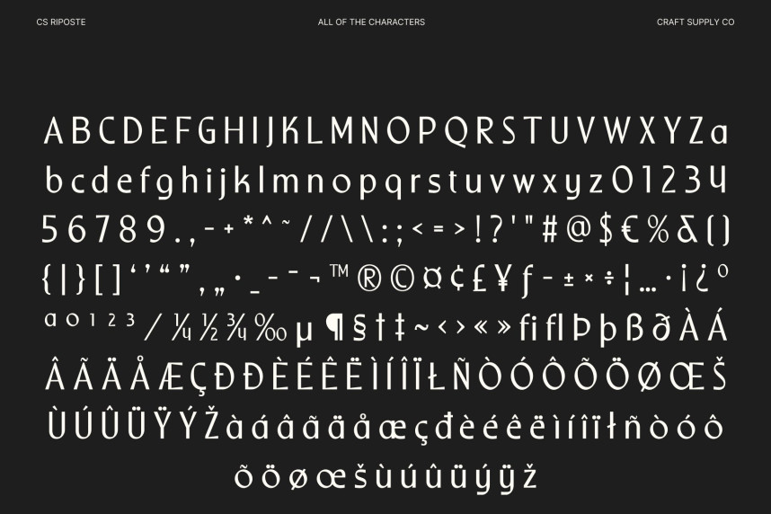 CS Riposte Typeface preview image 5