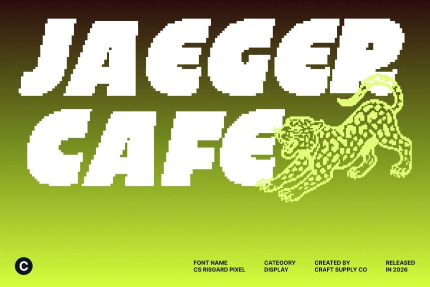 CS Risgard Pixel Font preview image 2
