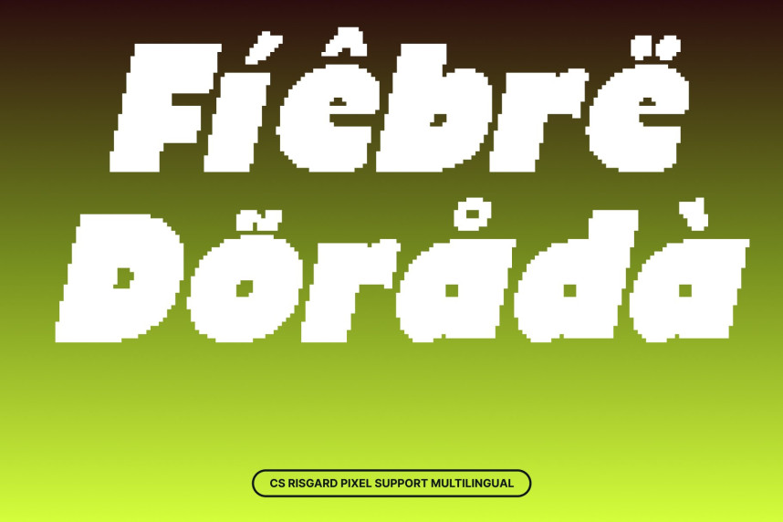 CS Risgard Pixel Font preview image 4