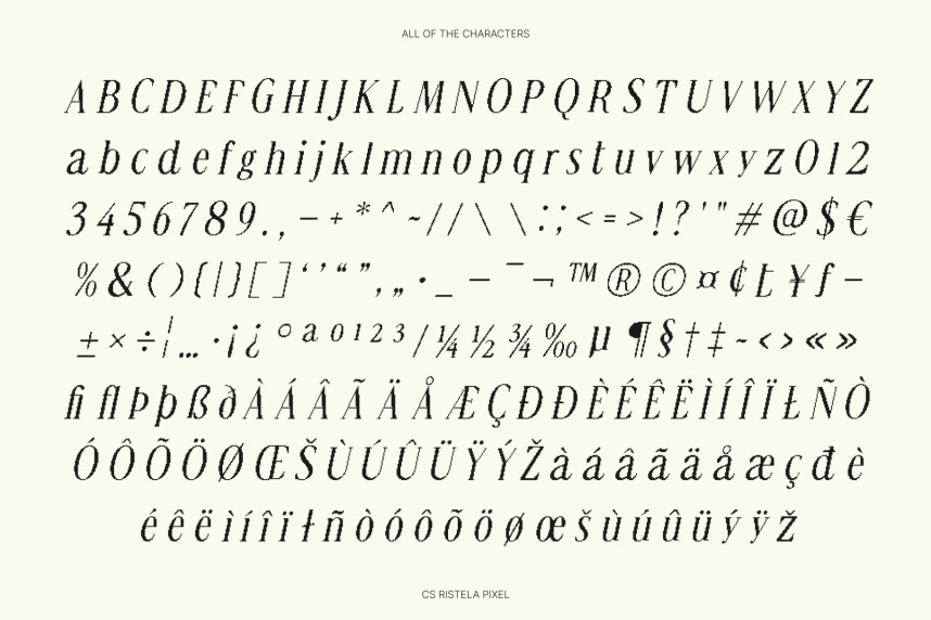 CS Ristela Pixel Font preview image 5