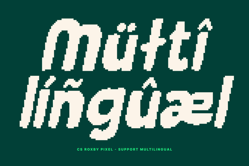 CS Roxby Pixel Font preview image 4