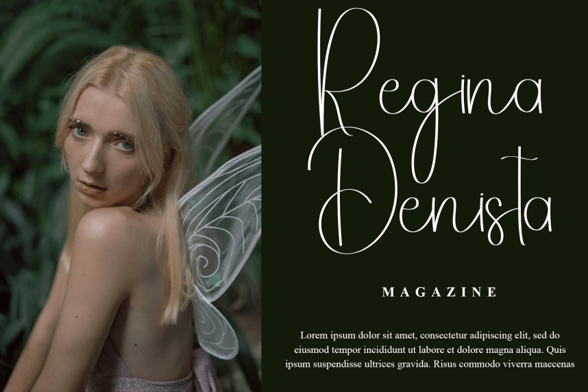 Delight Signature – Casual Handwritten Script Font preview image 2