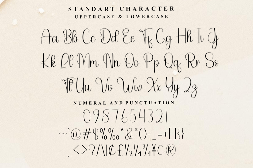 Notebook – Stylish Handwritten Script Font preview image 5