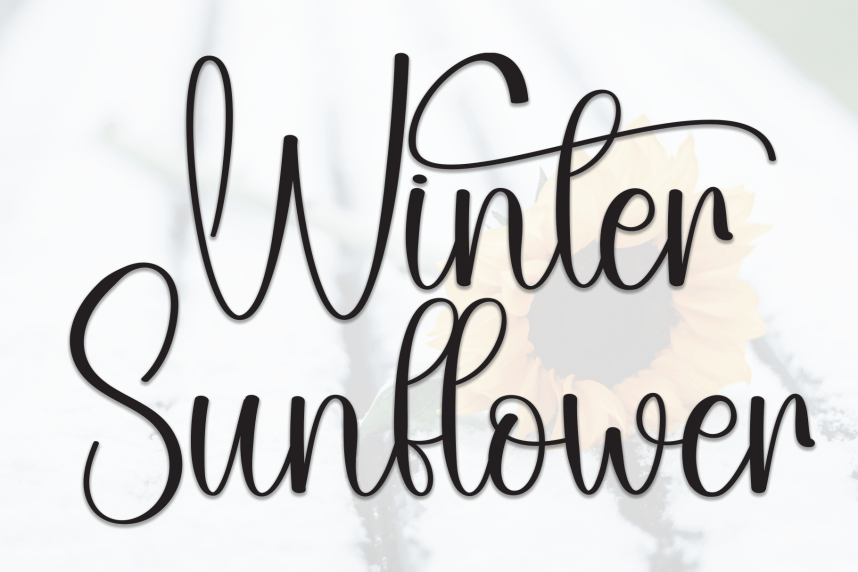 Winter Sunflower – Stylish Handwritten Script Font