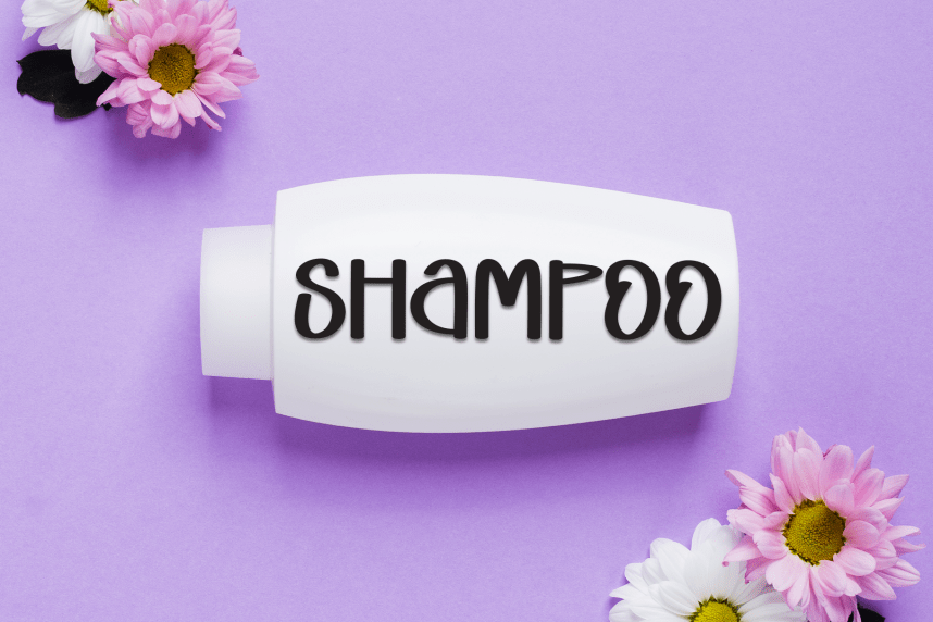 School Present  – Moder Style Font preview image 2