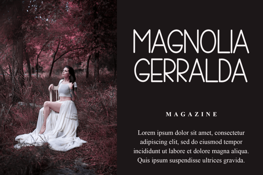 Designer – Creative Style Font preview image 2
