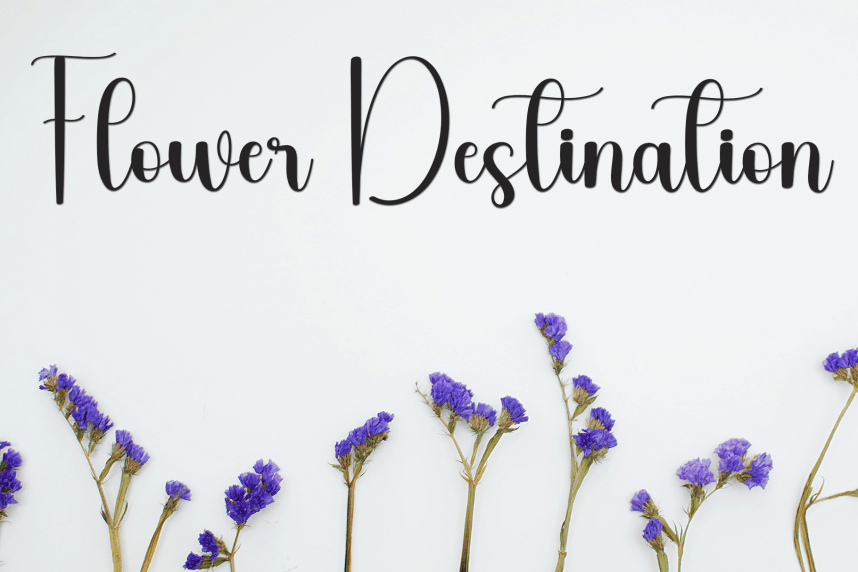 Graduation – Creative Handwritten Font preview image 2