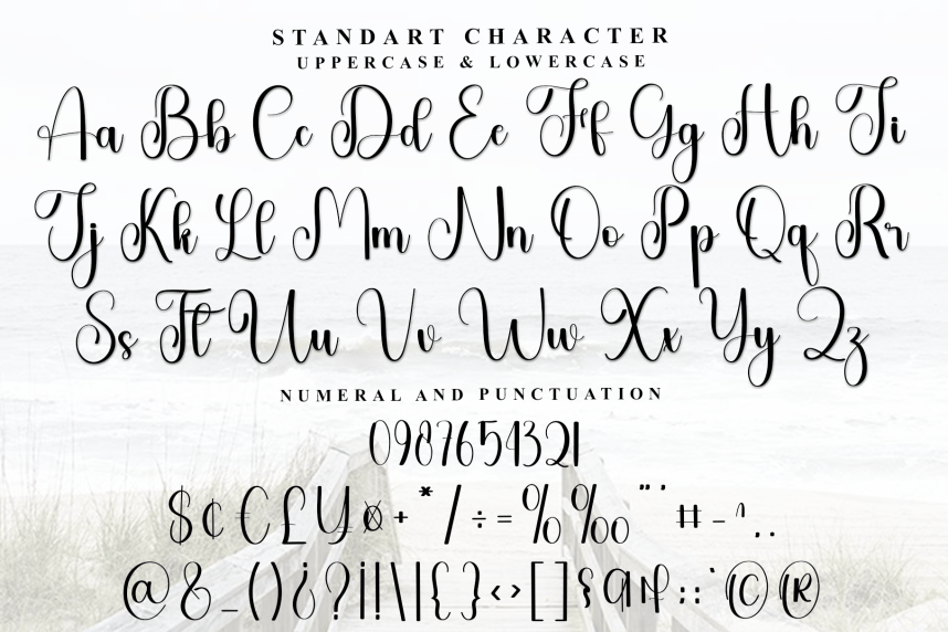 Rustic Wedding – Natural Script Handwritten Font preview image 4