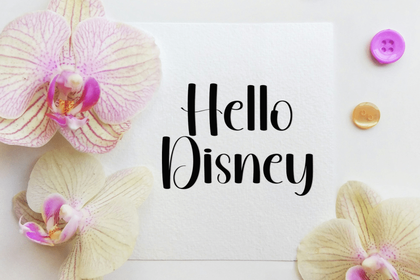 Smart Thinking – Style Script Font preview image 3