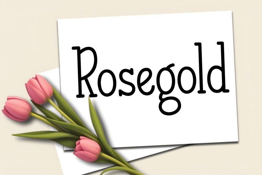 Spring Farmhouse – Creative Style Font preview image 2