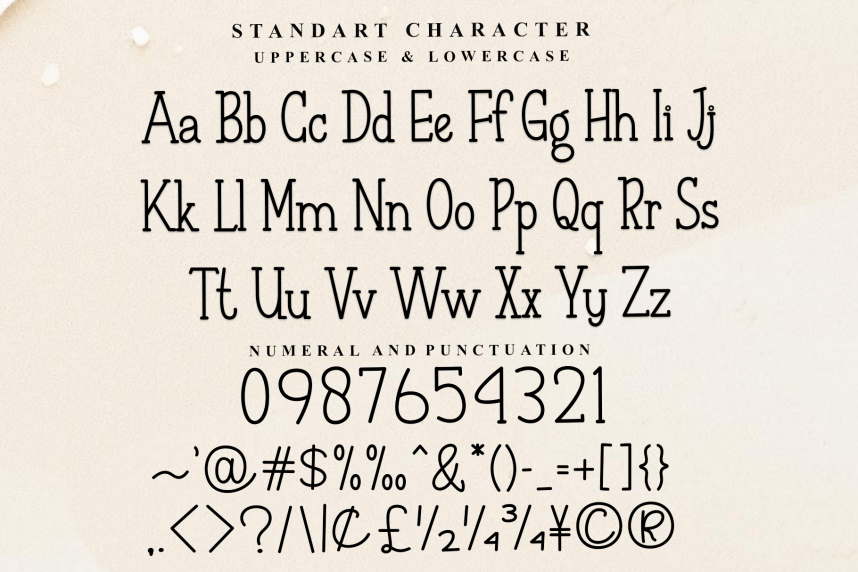 Spring Farmhouse – Creative Style Font preview image 5
