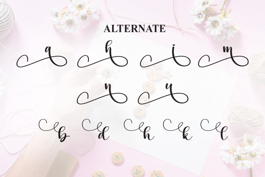 Handmade – Elegant Handwritten Font preview image 5