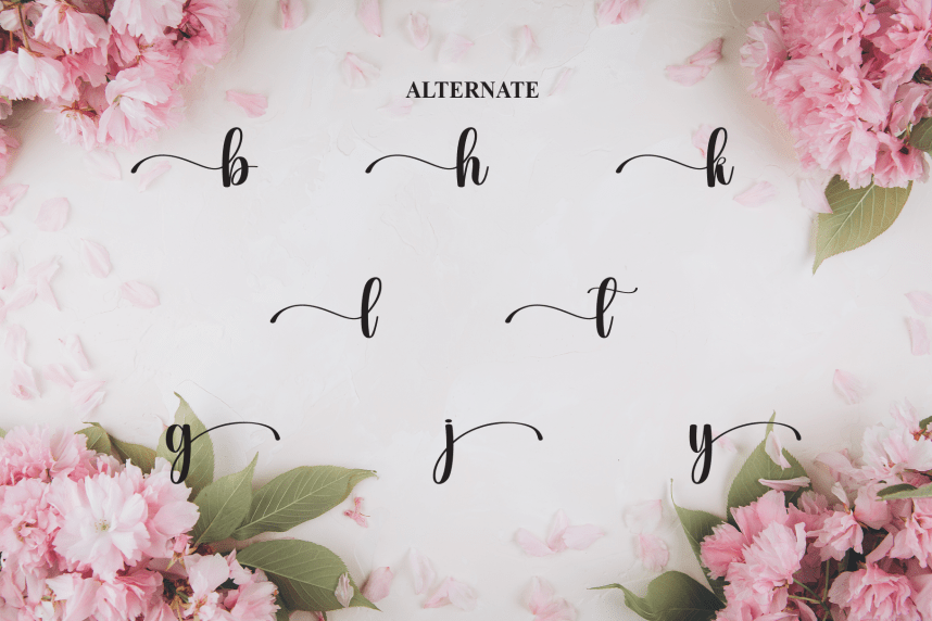 Hailey – Authentic Handwritten Style Font preview image 5