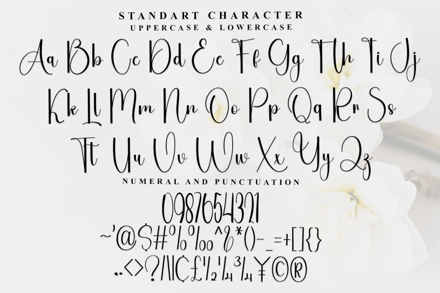 Alignment – Modern Handwritten Script Font preview image 5