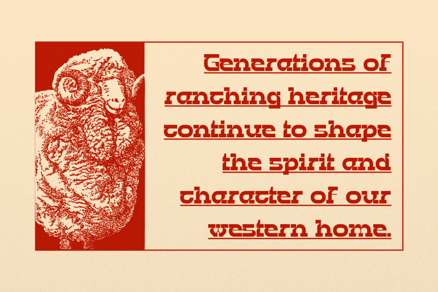 Bebop Rodeo | Western Slab Serif Font preview image 4