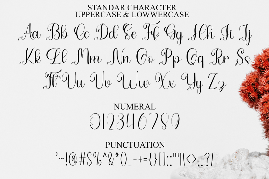 Vegetable Handmade – Elegant Handwritten Font preview image 3