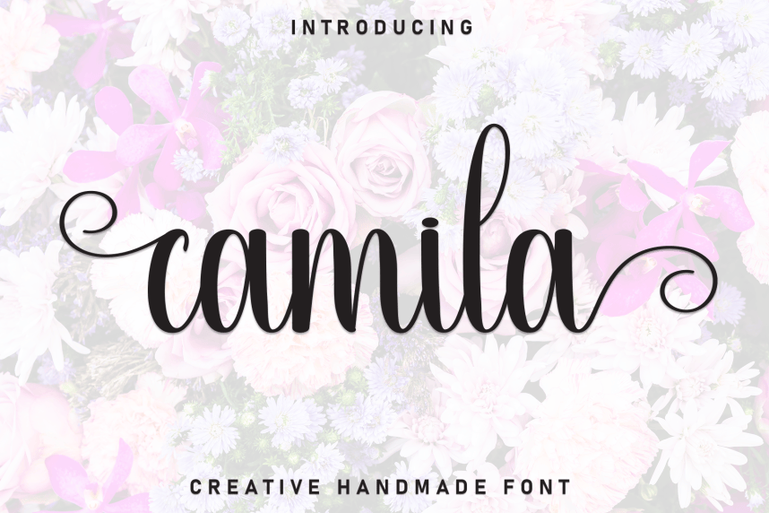 Camila Calligraphy Font