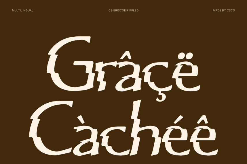 CS Briscoe Rippled Font preview image 4