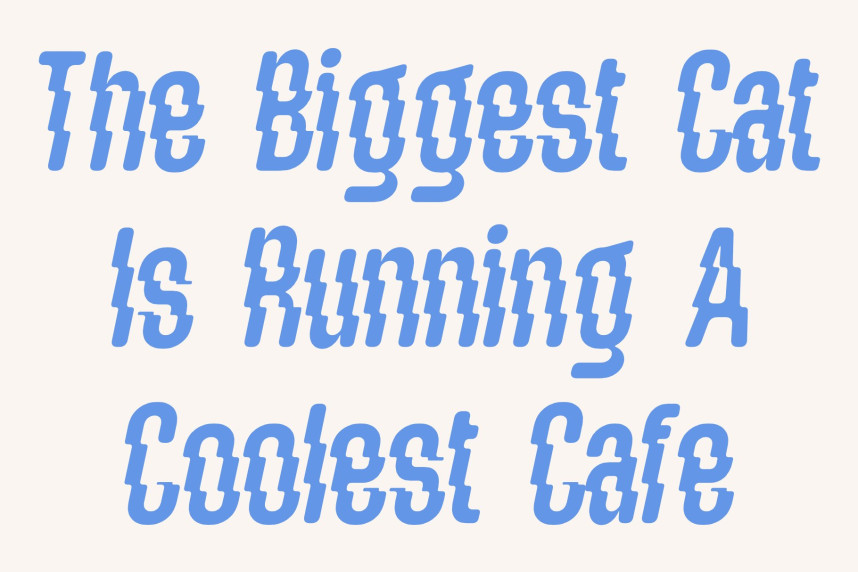 CS Geraint Rippled Font preview image 4